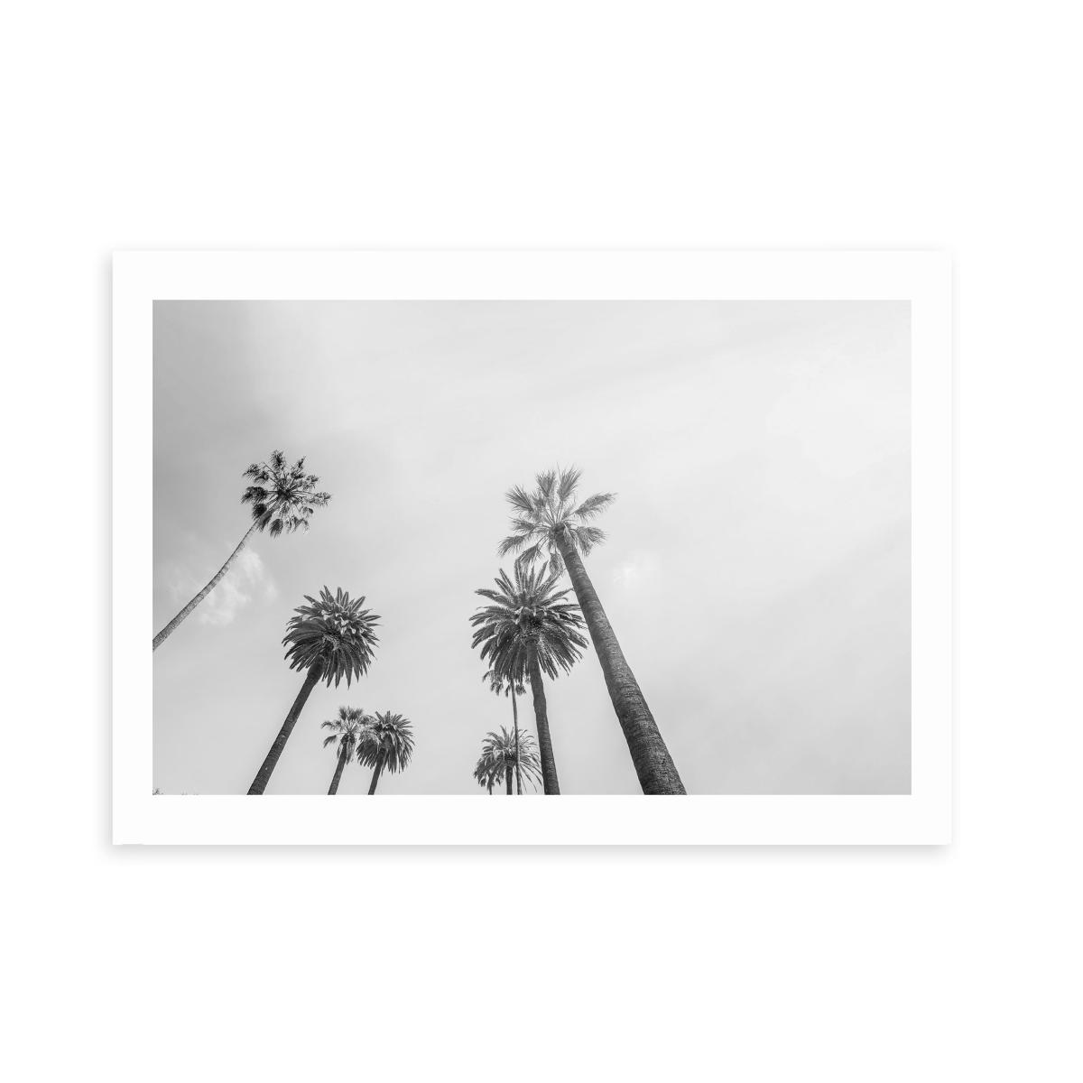 East End Prints 8 Palms Print Grey – image 2