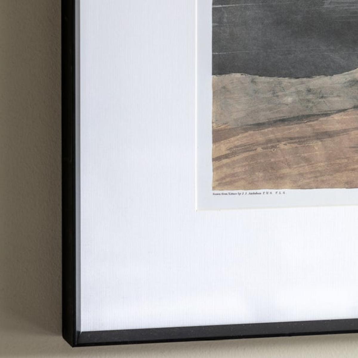 Cedar & Sage Pellicano Framed Print – image 2