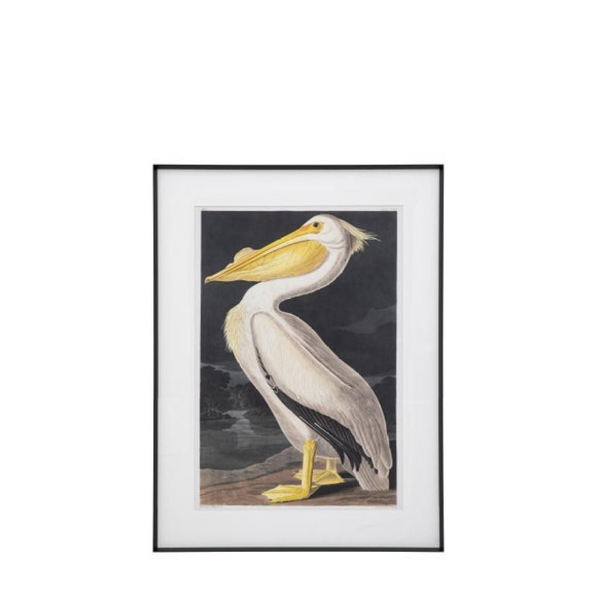 Cedar & Sage Pellicano Framed Print – image 5