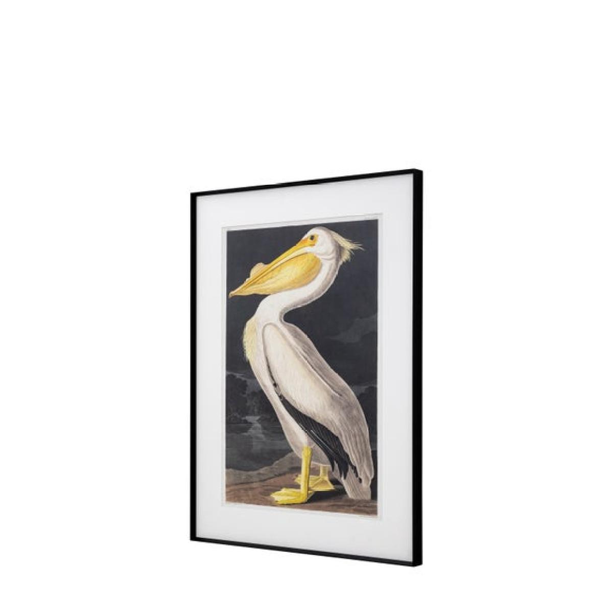 Cedar & Sage Pellicano Framed Print – image 6