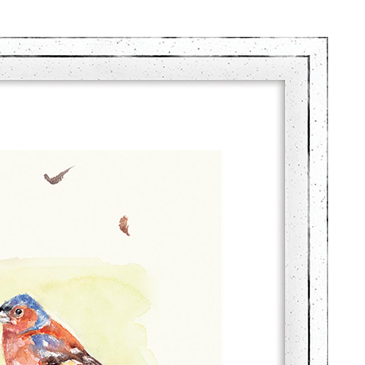 The Art Group Line Of Garden Birds Framed Print MultiColoured – image 3