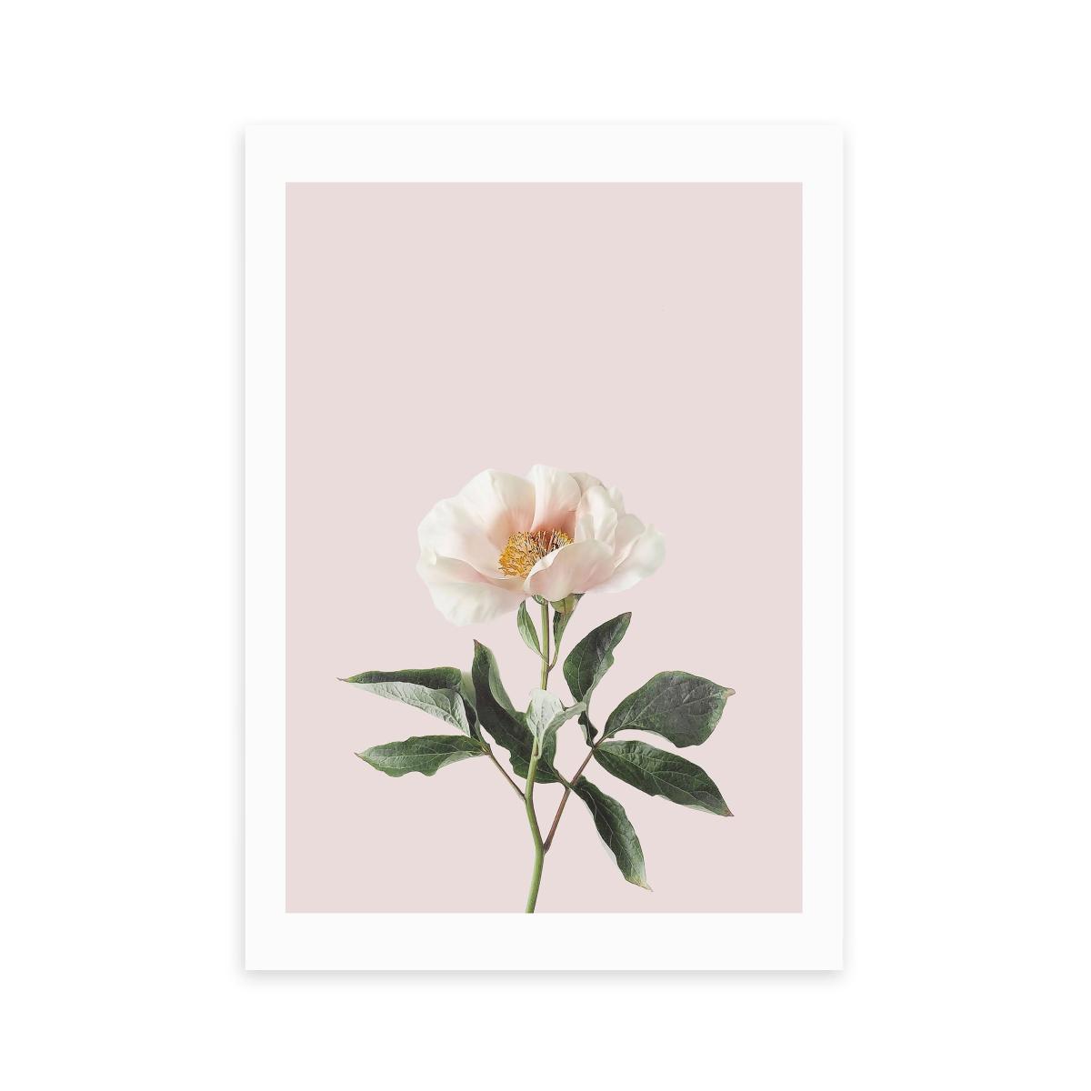 East End Prints Delicate Print Pink – image 2