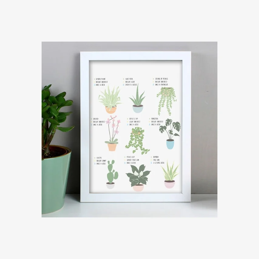 Personalised Plants Guide A4 Framed Print White
