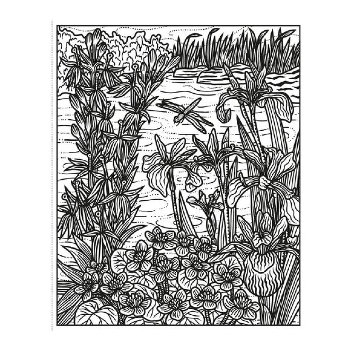 Wild Flowers Magic Painting Book – image 2