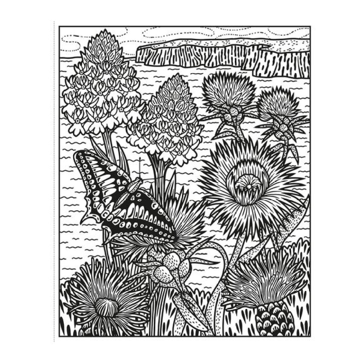 Wild Flowers Magic Painting Book – image 3