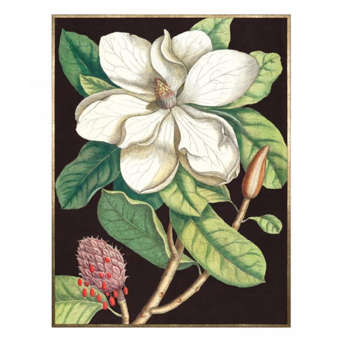 Cedar & Sage Laurel Tree Framed Canvas – image 4