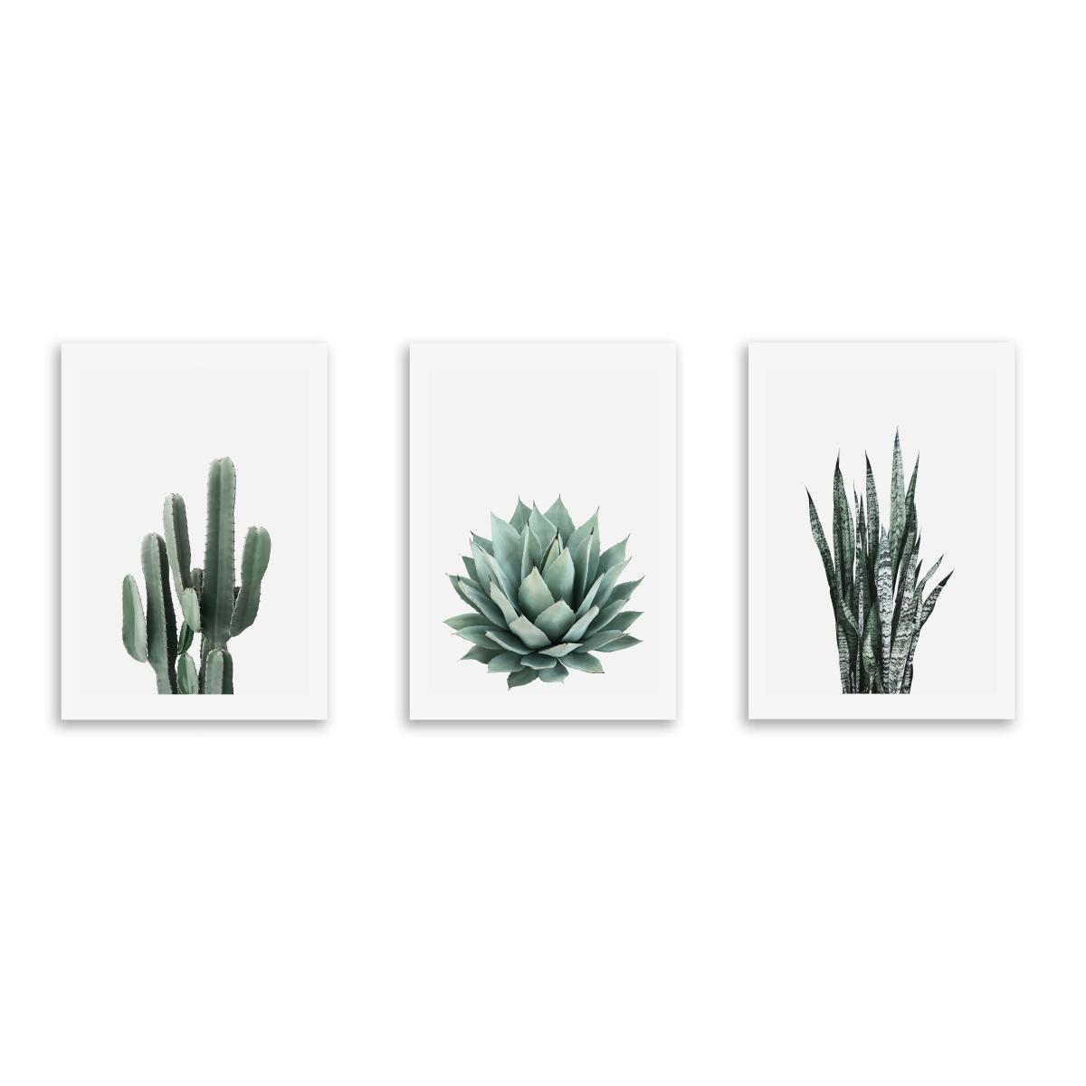Set of 3 East End Prints Succulent Gallery Wall Prints Green – image 2