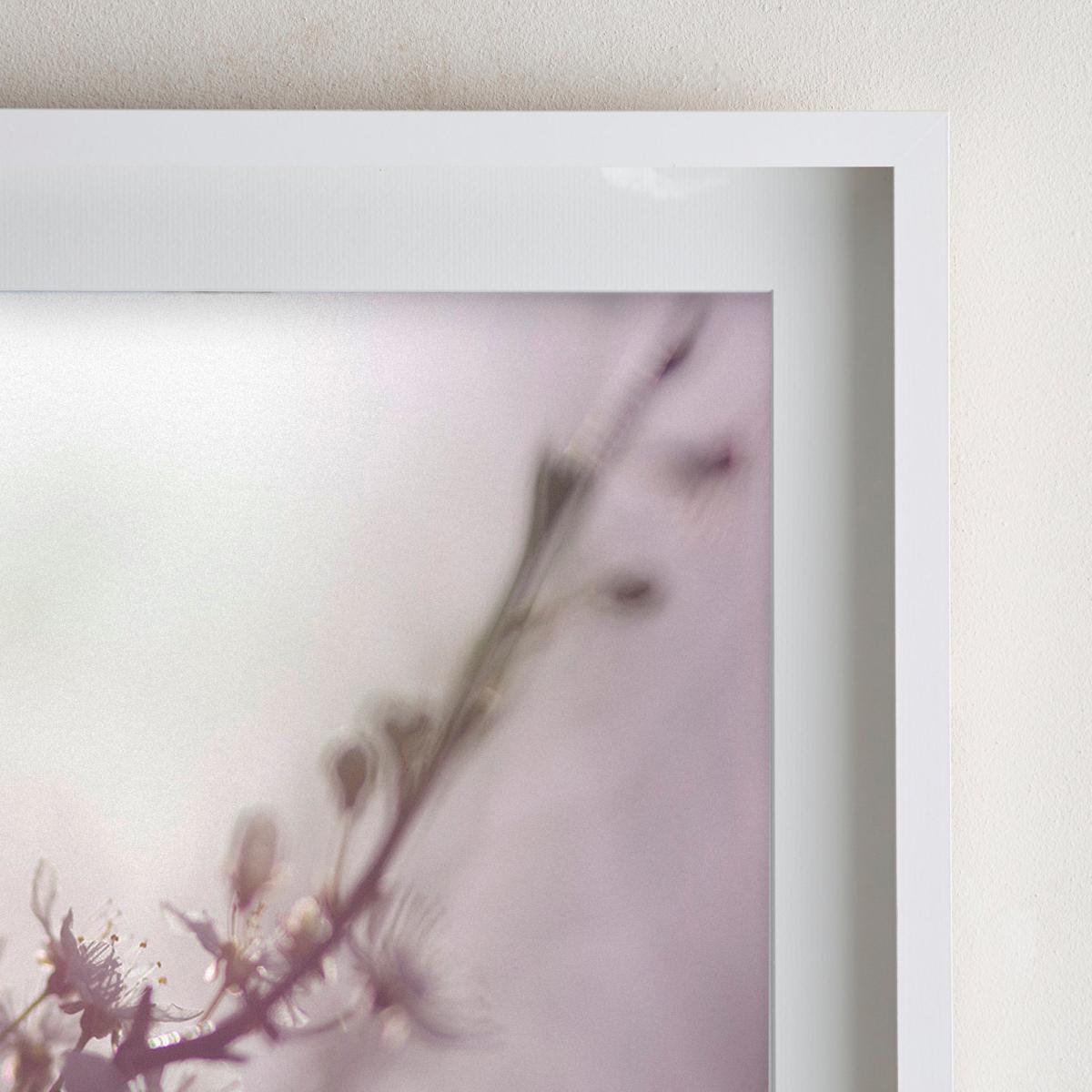 Dorma Purity Dreamy Blossom Mounted and Box Framed Exclusive Nature Print Pink – image 2
