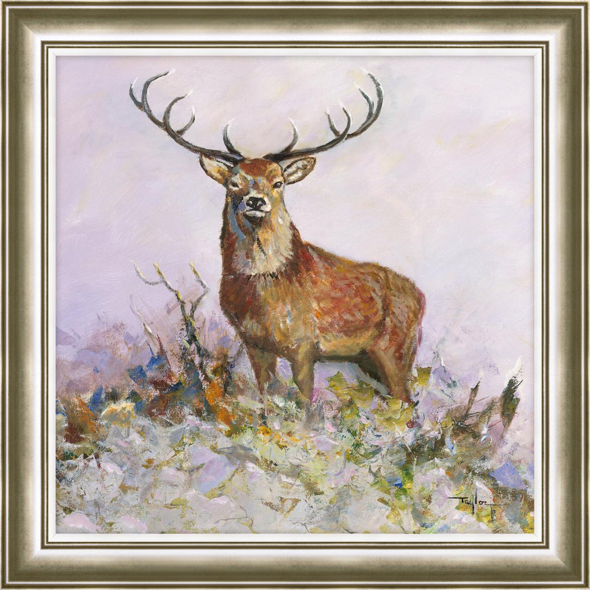 Dorma Majestic Stag Framed Print Brown/Grey – image 1