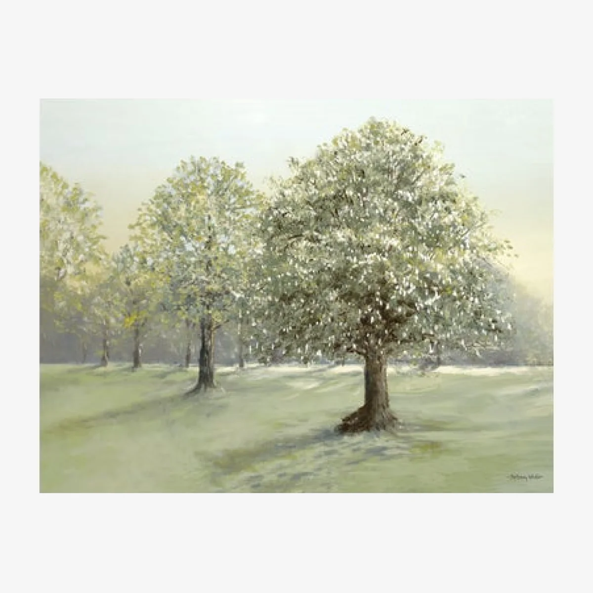 Stroll Between Trees by Anthony Waller Framed Print Natural