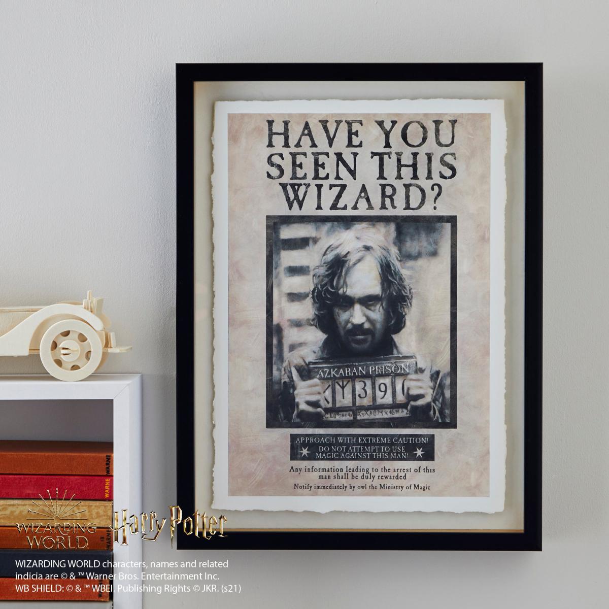 Harry Potter Wanted Wall Art MultiColoured – image 1