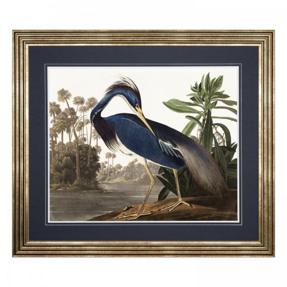 Cedar & Sage Louisiana Heron Framed Print – image 4