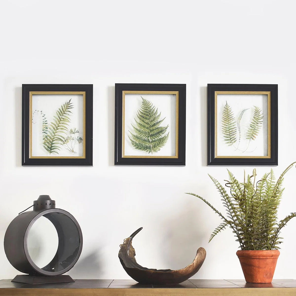 Alpini Set of 3 Framed Wall Art Green