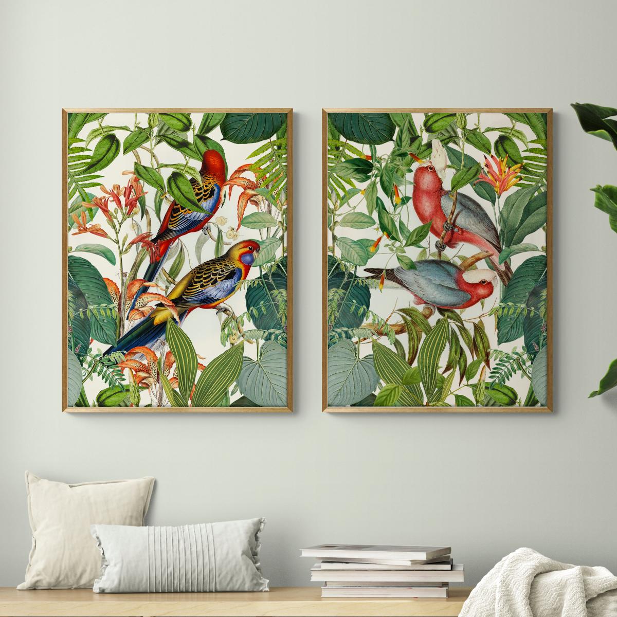 Exotic Jungle Birds by andrea Haase Framed Print MultiColoured – image 4