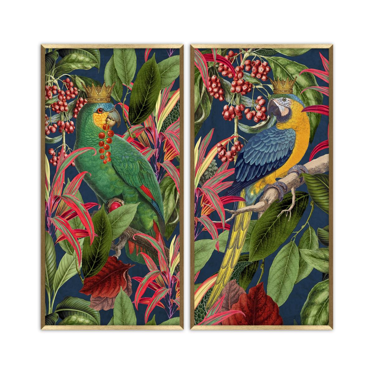 Set of 2 Parrot King Framed Prints MultiColoured – image 2