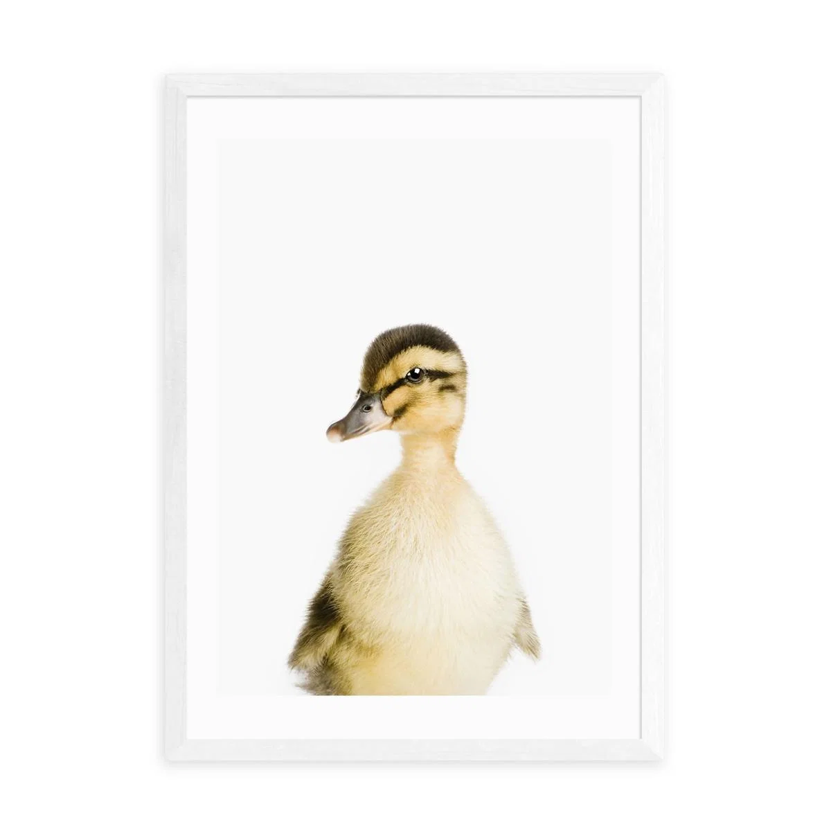 East End Prints Duckling Print White – image 2