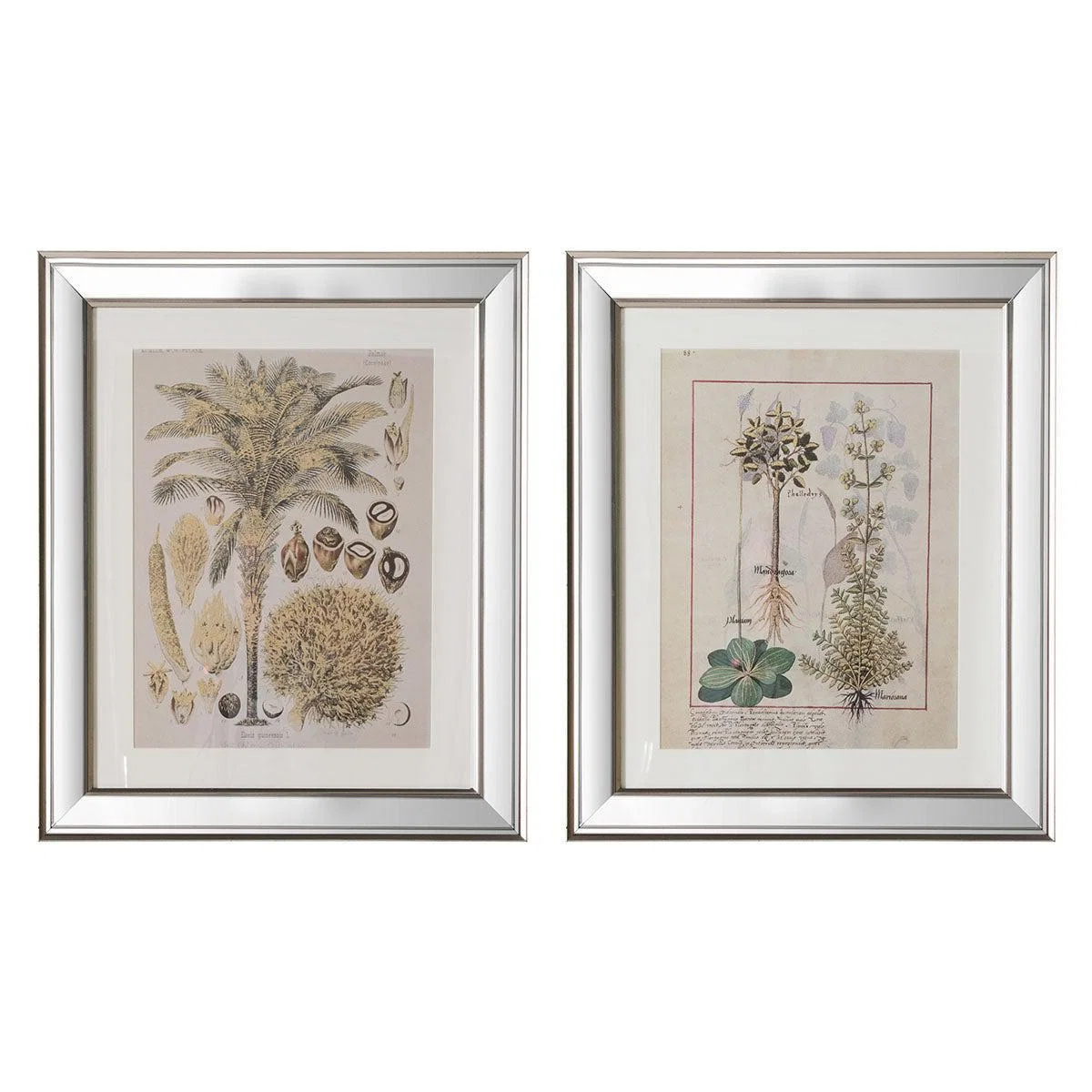 Botanica Floral II Set of 2 Framed Wall Art Natural – image 2