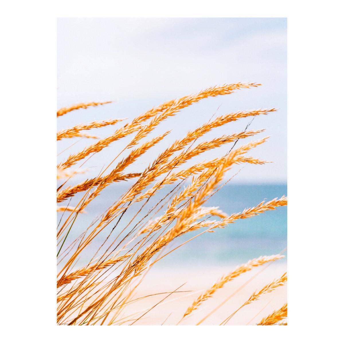 Coastal Calm Poster Pack Set of 7 Blue/Pink/Brown – image 2