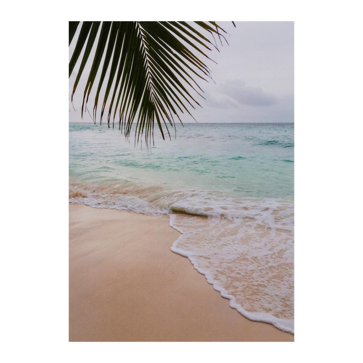 Coastal Calm Poster Pack Set of 7 Blue/Pink/Brown – image 7