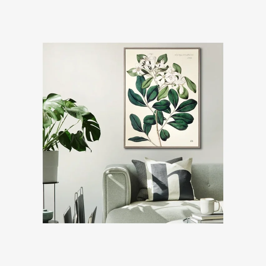 Cedar & Sage Foliage and Blooms Floral Framed Canvas Brown