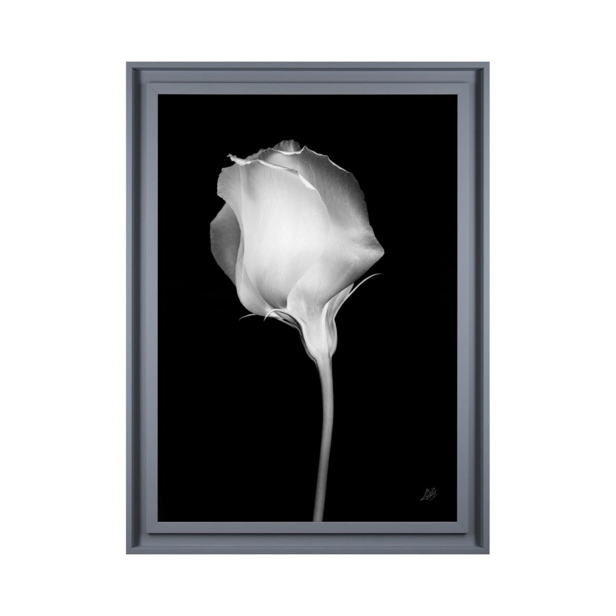 The Art Group Mono Floral I Framed Print Black and white – image 2