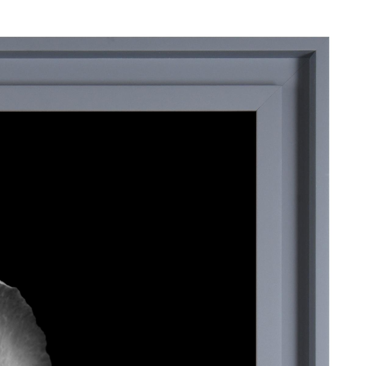 The Art Group Mono Floral I Framed Print Black and white – image 3