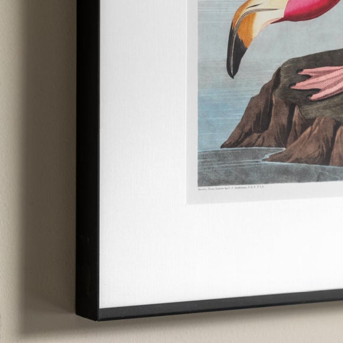 Cedar & Sage Wading Flamingo Framed Print – image 2