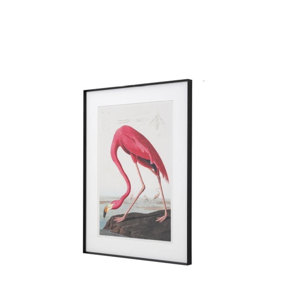 Cedar & Sage Wading Flamingo Framed Print – image 5
