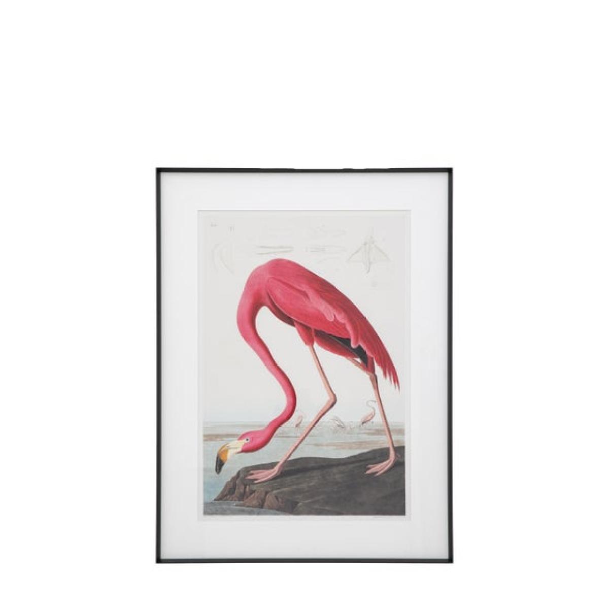 Cedar & Sage Wading Flamingo Framed Print – image 6