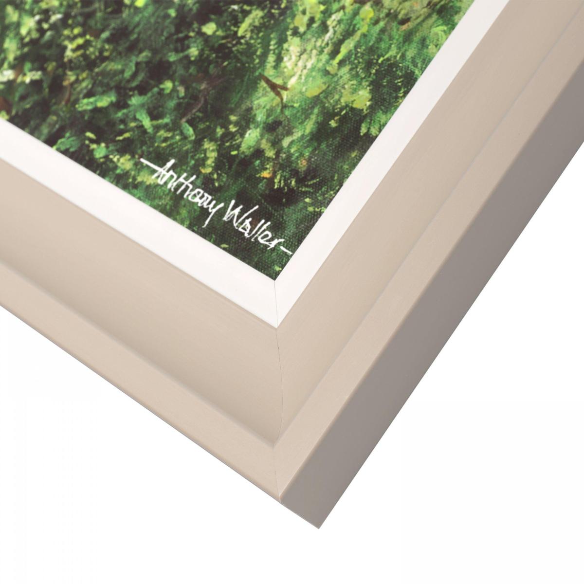Forest Light Framed Print – image 2