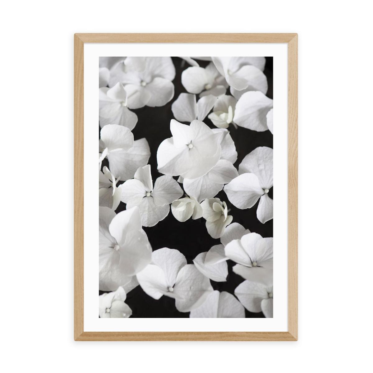 East End Prints White Beauty on Black Print White/Black – image 2