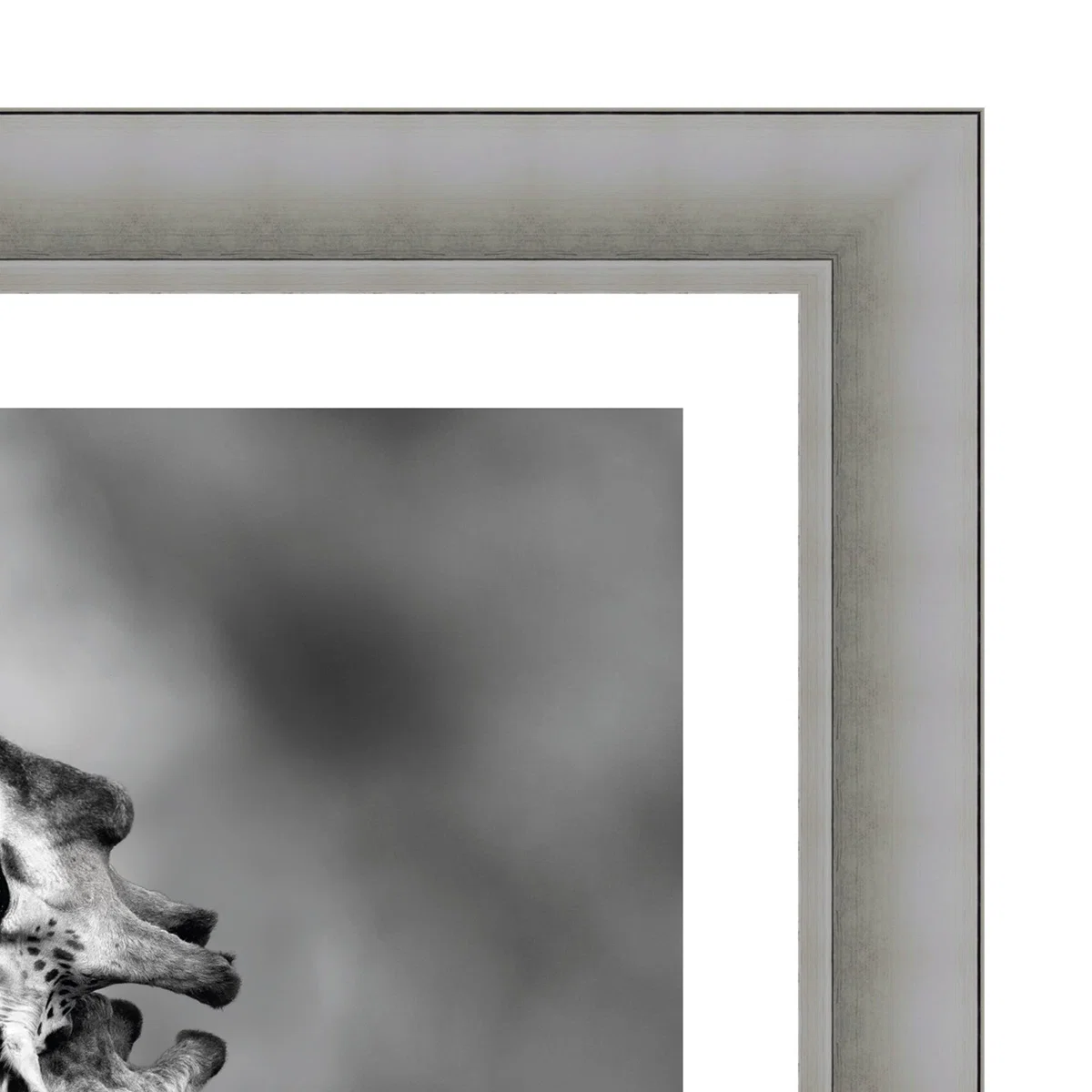 The Art Group Neck Loving Framed Print Black and white – image 3