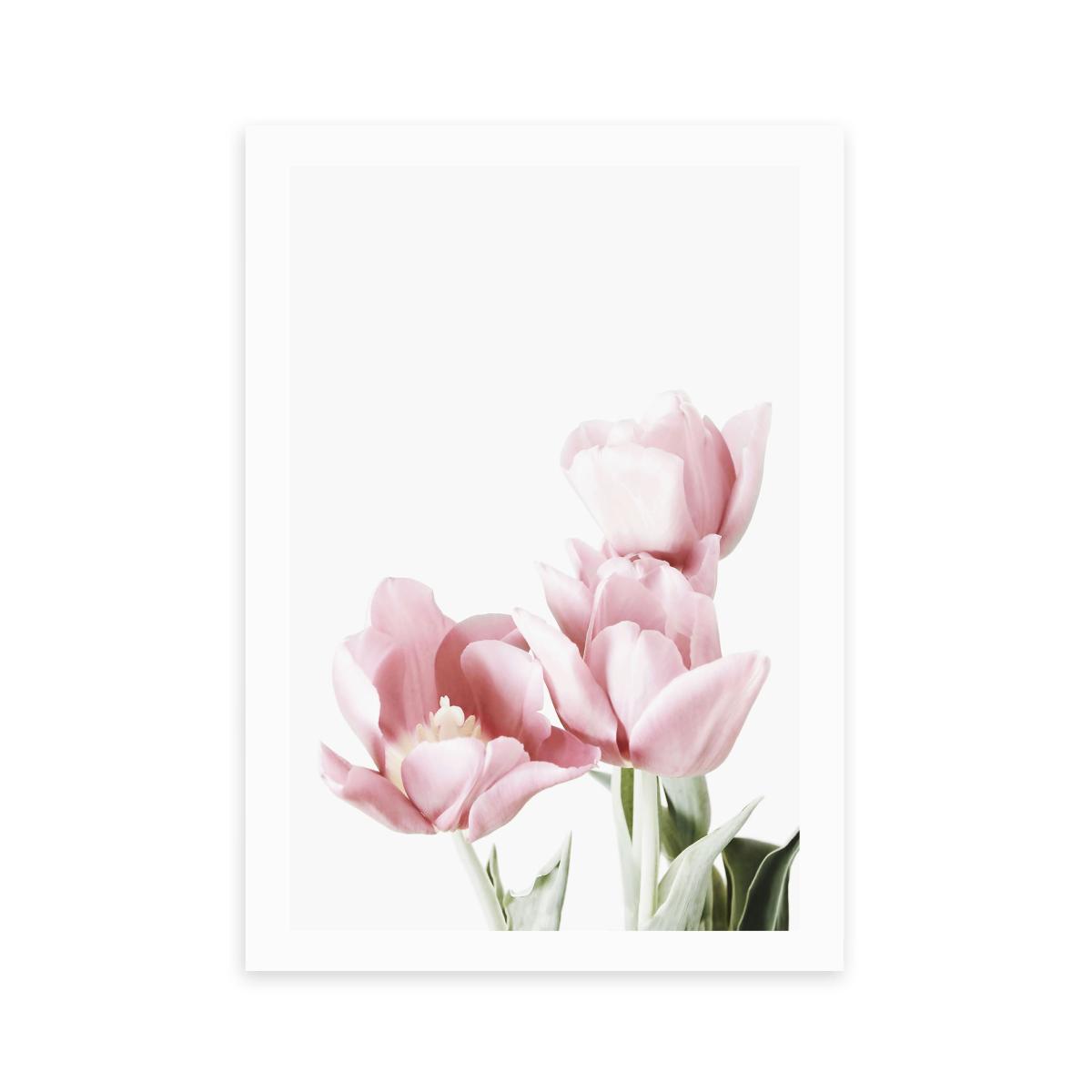 East End Prints Tulips Print Pink – image 2