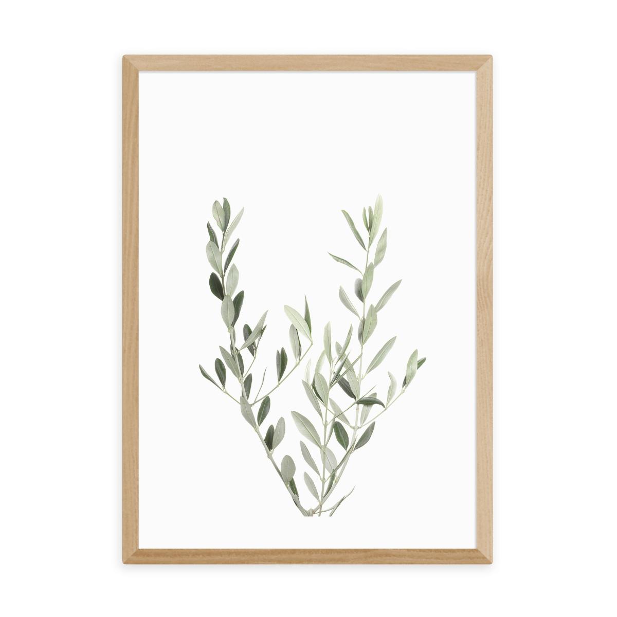 East End Prints Botanical II - Olive Branch Print Green – image 2