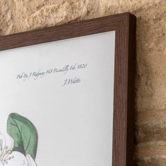 Cedar & Sage Foliage & Blooms Framed Print – image 2