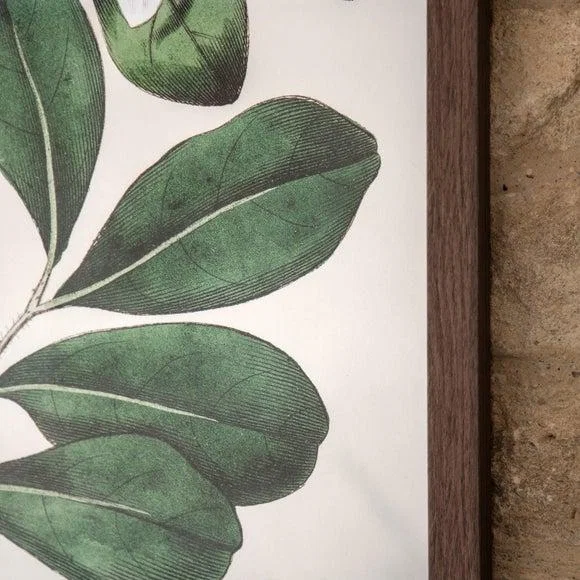 Cedar & Sage Foliage & Blooms Framed Print – image 3