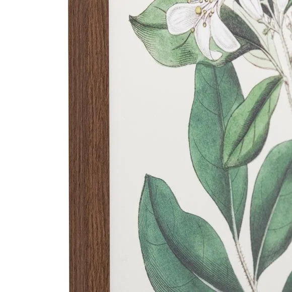 Cedar & Sage Foliage & Blooms Framed Print – image 4