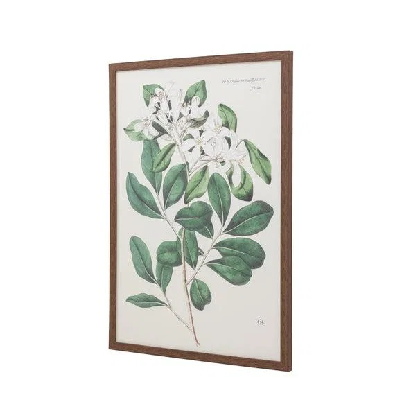 Cedar & Sage Foliage & Blooms Framed Print – image 6