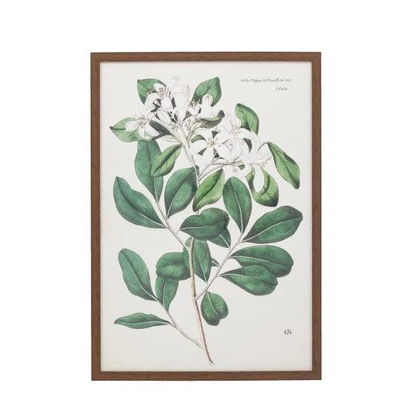Cedar & Sage Foliage & Blooms Framed Print – image 7