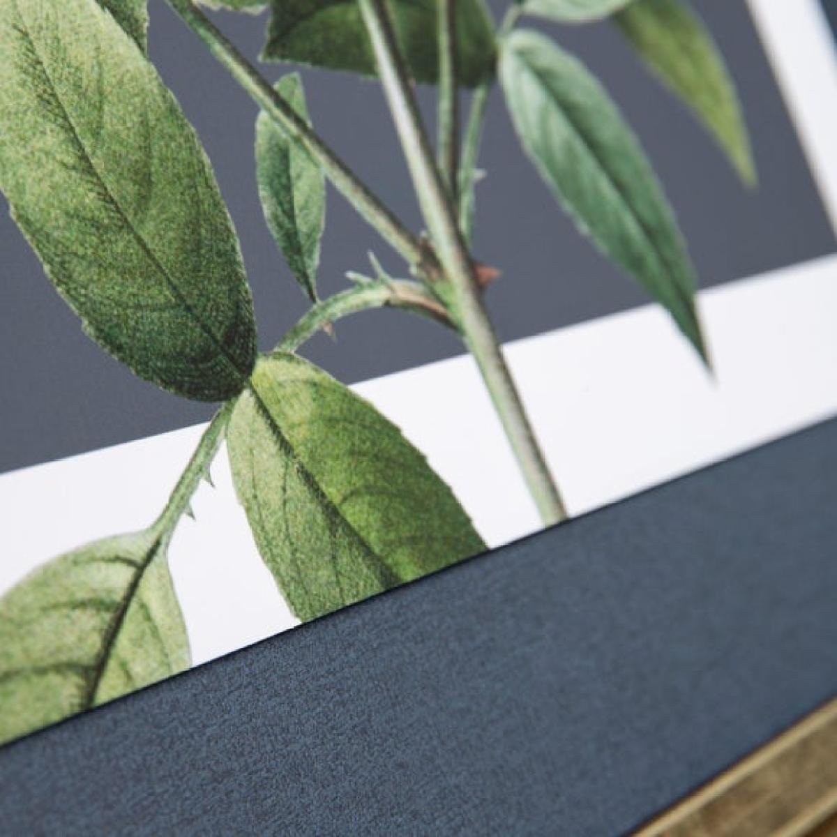 Cedar & Sage Rosa Nivea Framed Canvas – image 2