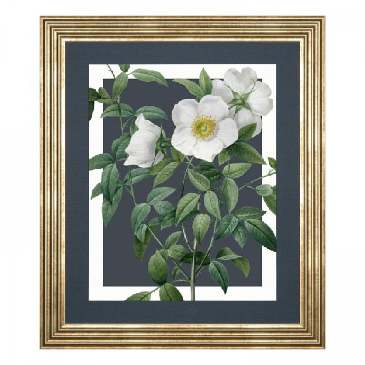 Cedar & Sage Rosa Nivea Framed Canvas – image 4