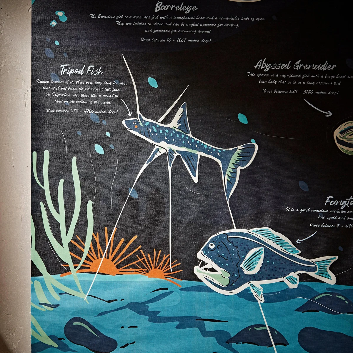 Kids Midnight Zone Hanging Mural 110cm x 150cm Navy Blue/Green/Orange – image 4