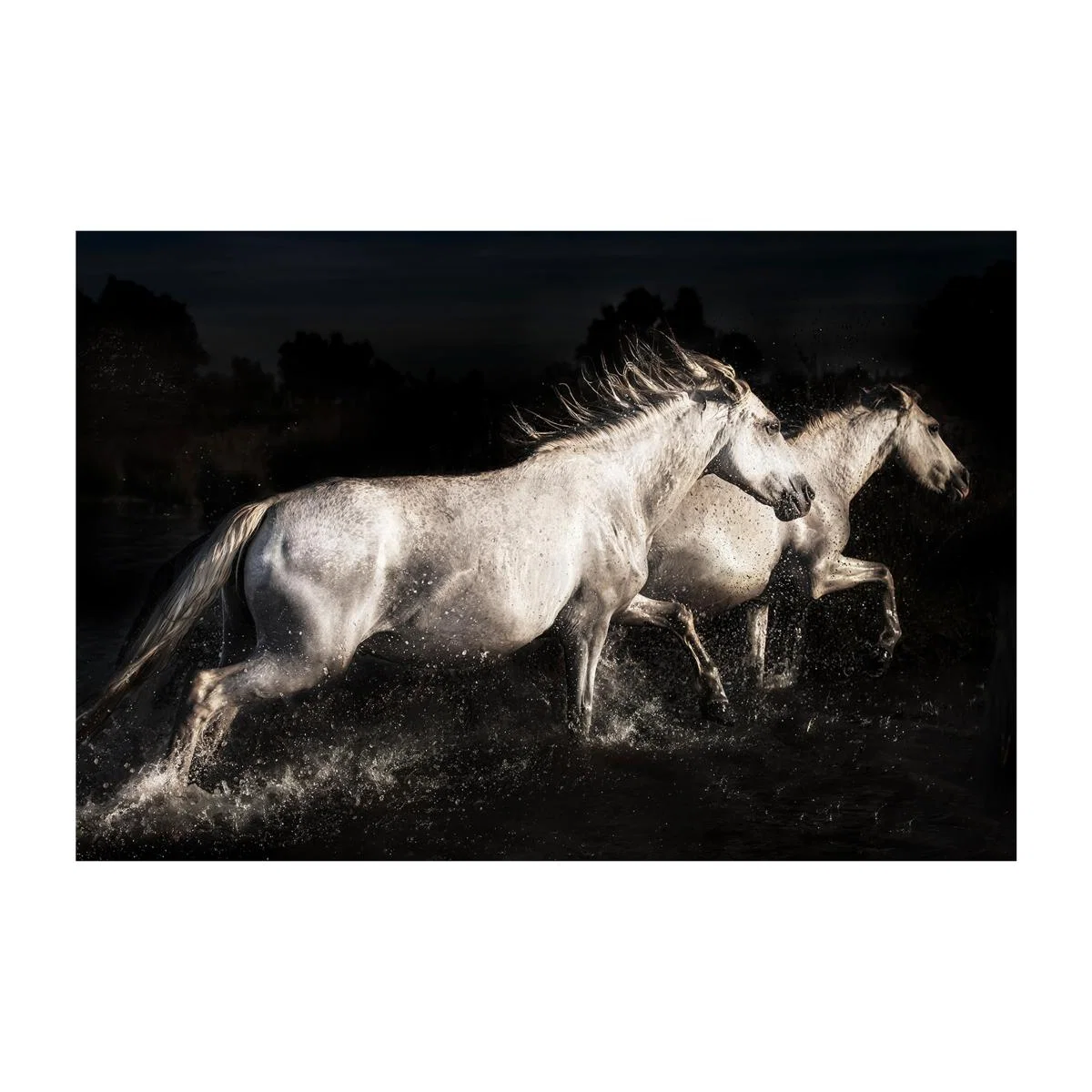Elegant Horses Metallic Glass Art – image 1