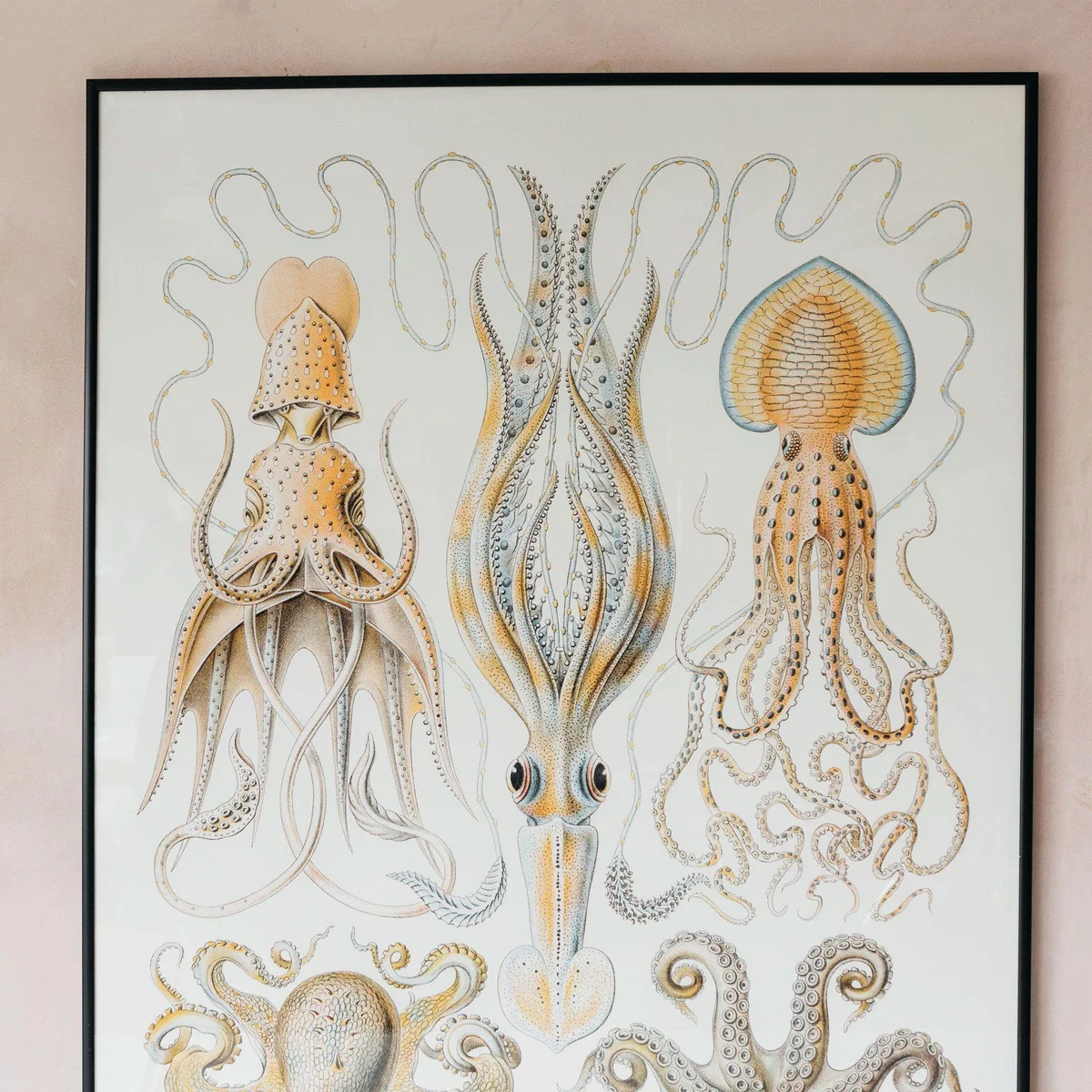 Medium Framed Octopus Print – image 2
