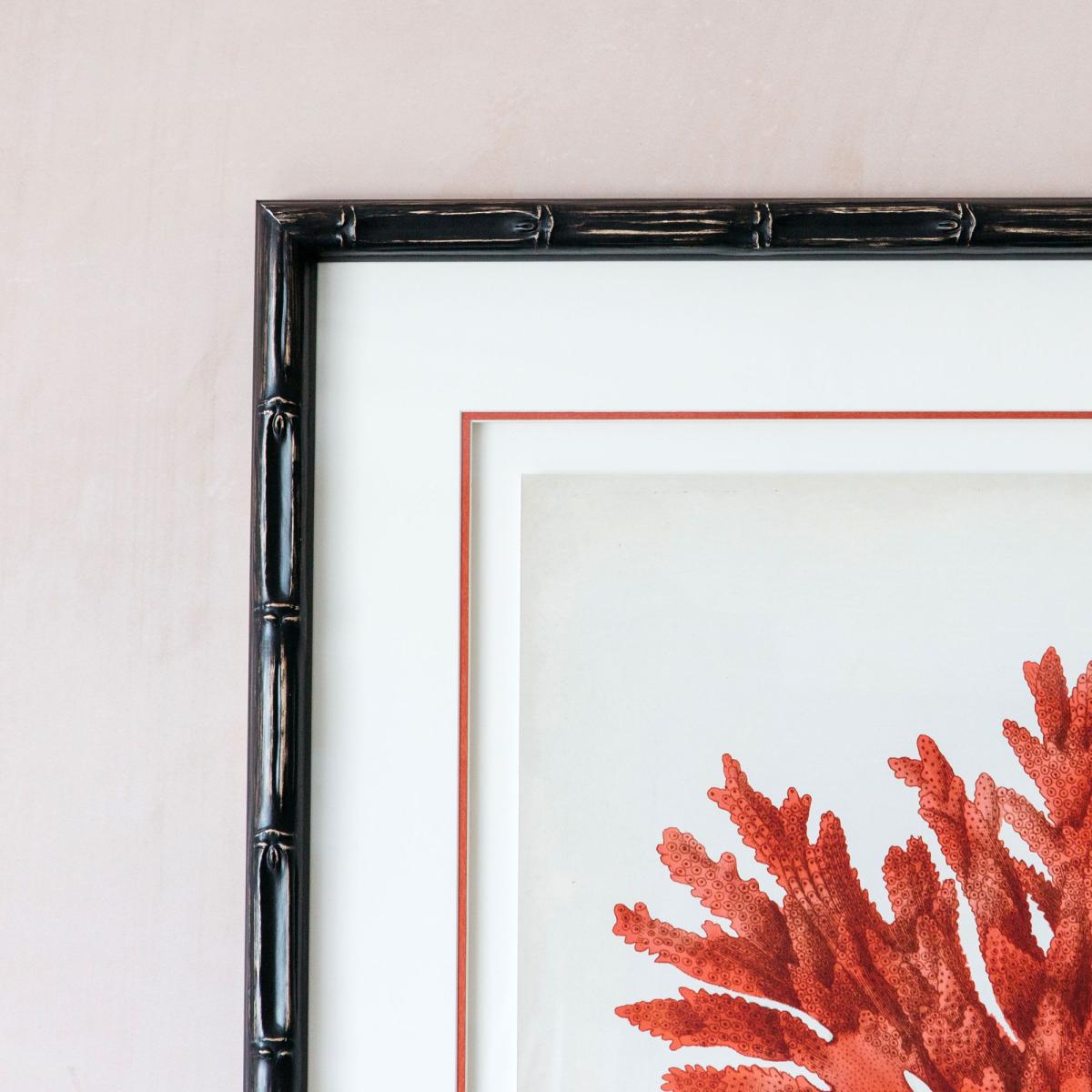 Framed Red Coral Print – image 2