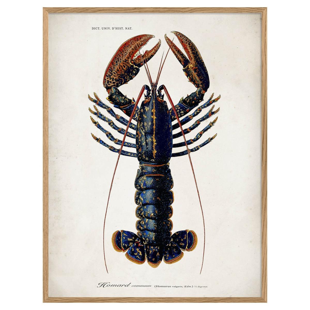 Graham and Green Oak Framed Lobster Print - 70 x 100cm – image 2