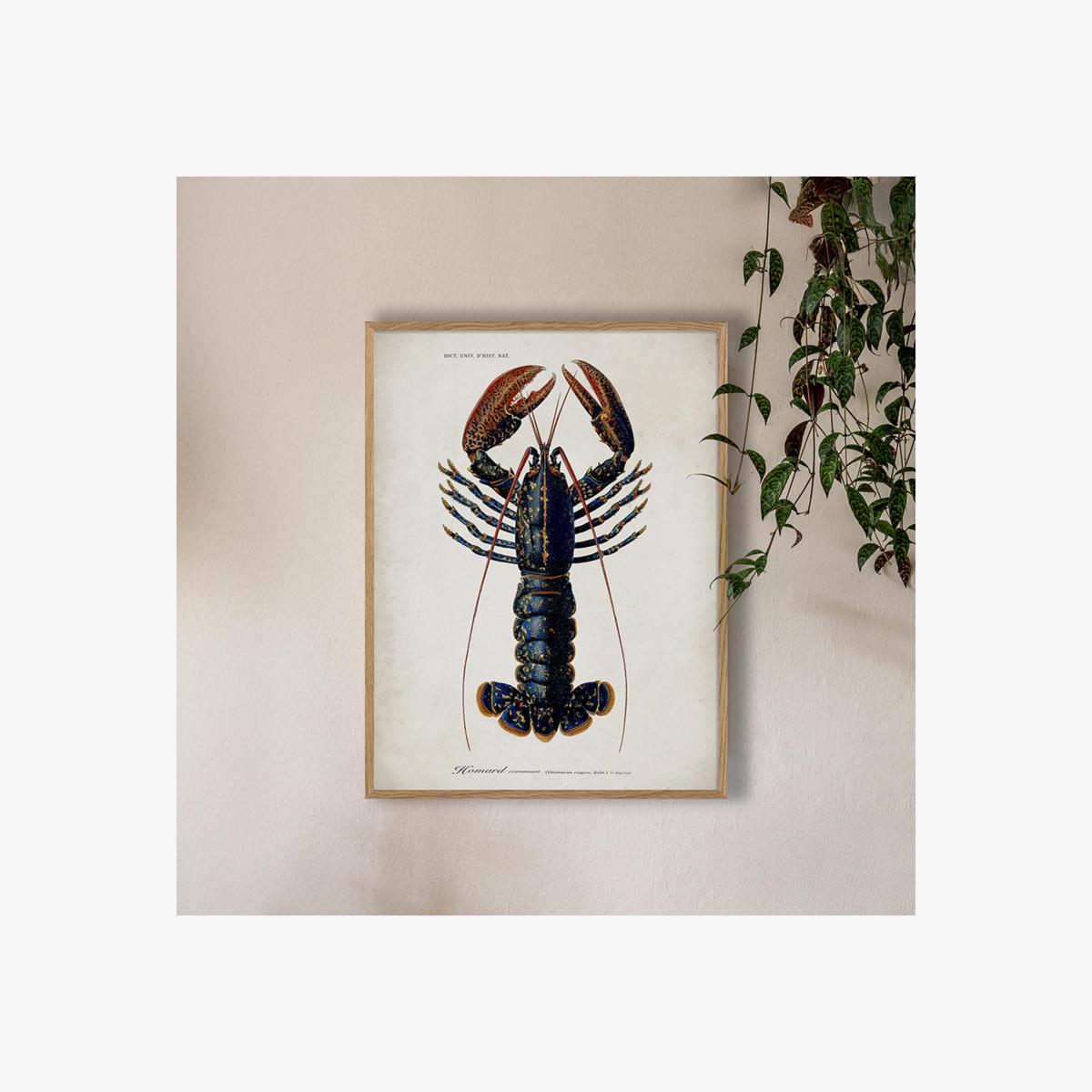 Graham and Green Oak Framed Lobster Print - 70 x 100cm – image 1