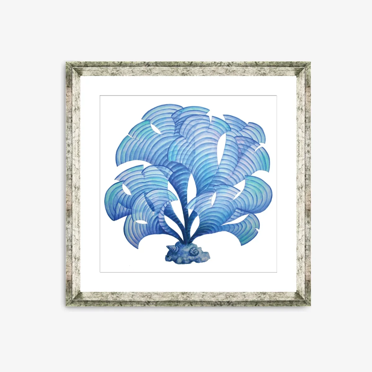 Blue Seaweed 5 - Framed Print & Mount, 46 x 46cm, Blue – image 1