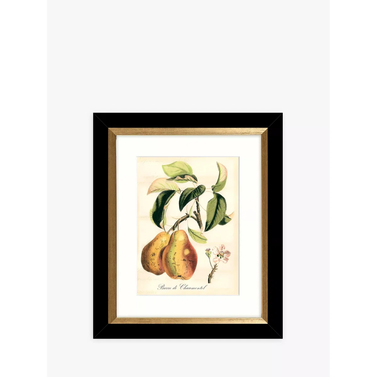 Tuscan Fruit - Framed Prints & Mounts, Set of 4, 36.5 x 30.5cm, Orange/Multi – image 2