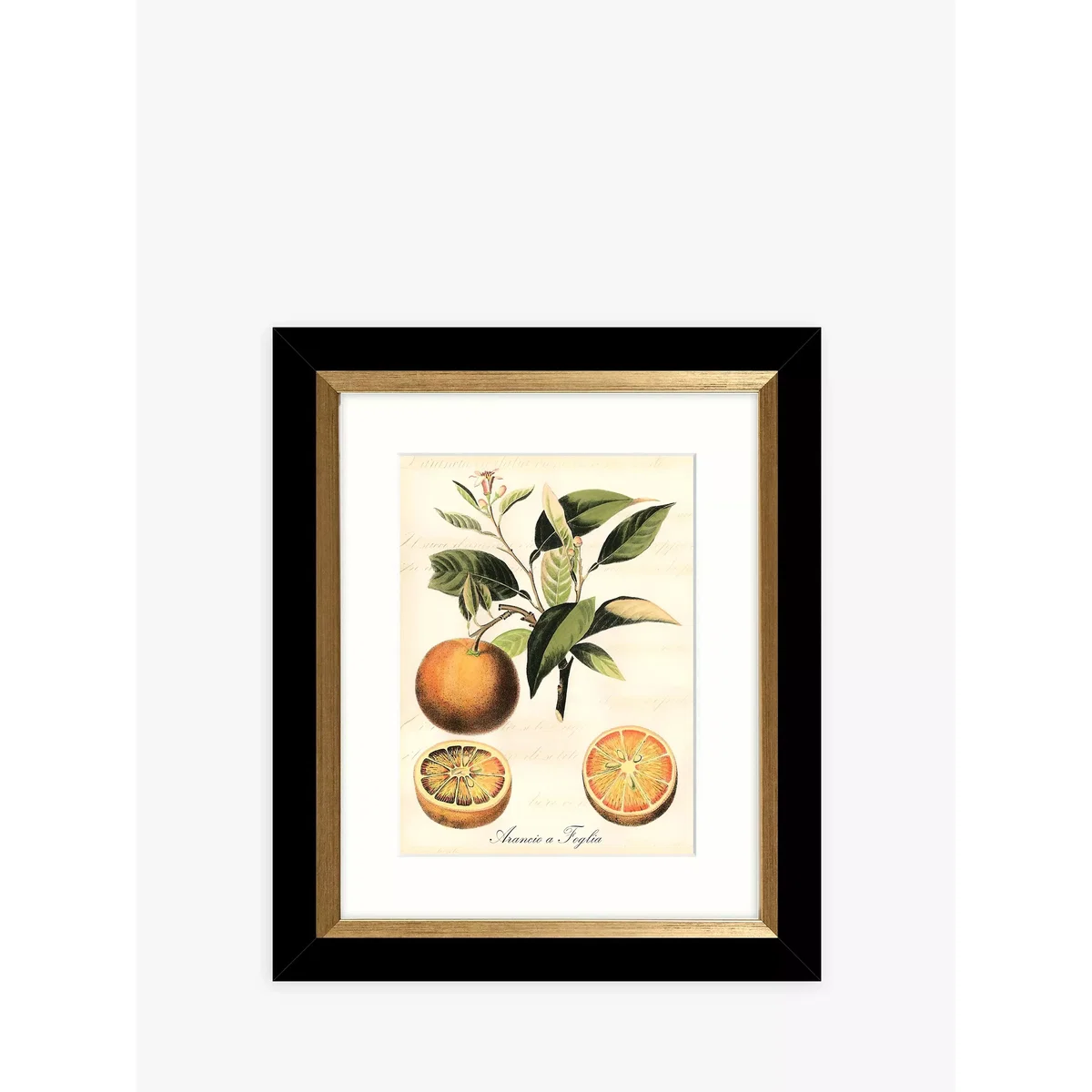 Tuscan Fruit - Framed Prints & Mounts, Set of 4, 36.5 x 30.5cm, Orange/Multi – image 3